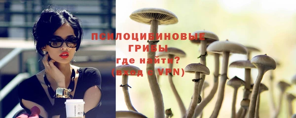 синтетический гашиш Алексеевка