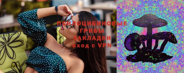 синтетический гашиш Алексеевка