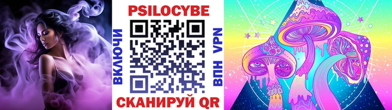 darknet телеграм  Пустошка  Галлюциногенные грибы ЛСД 